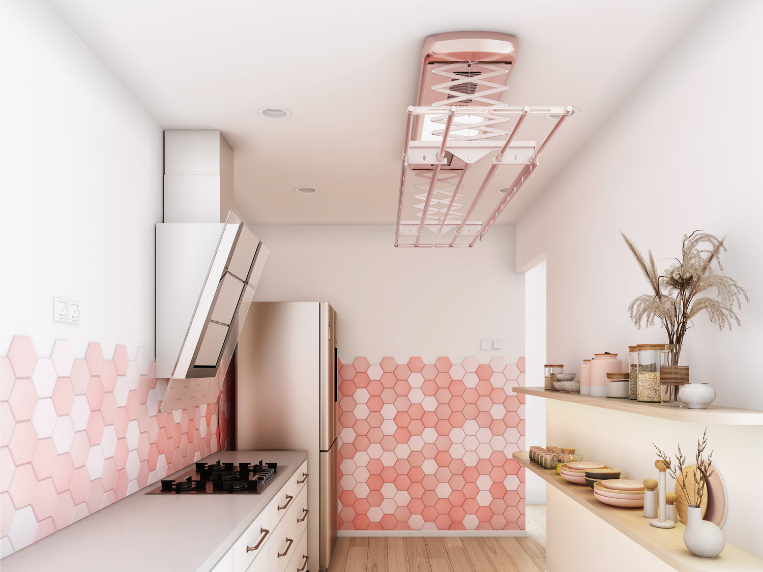 Meet These 6 Laundry-Eating Bugs