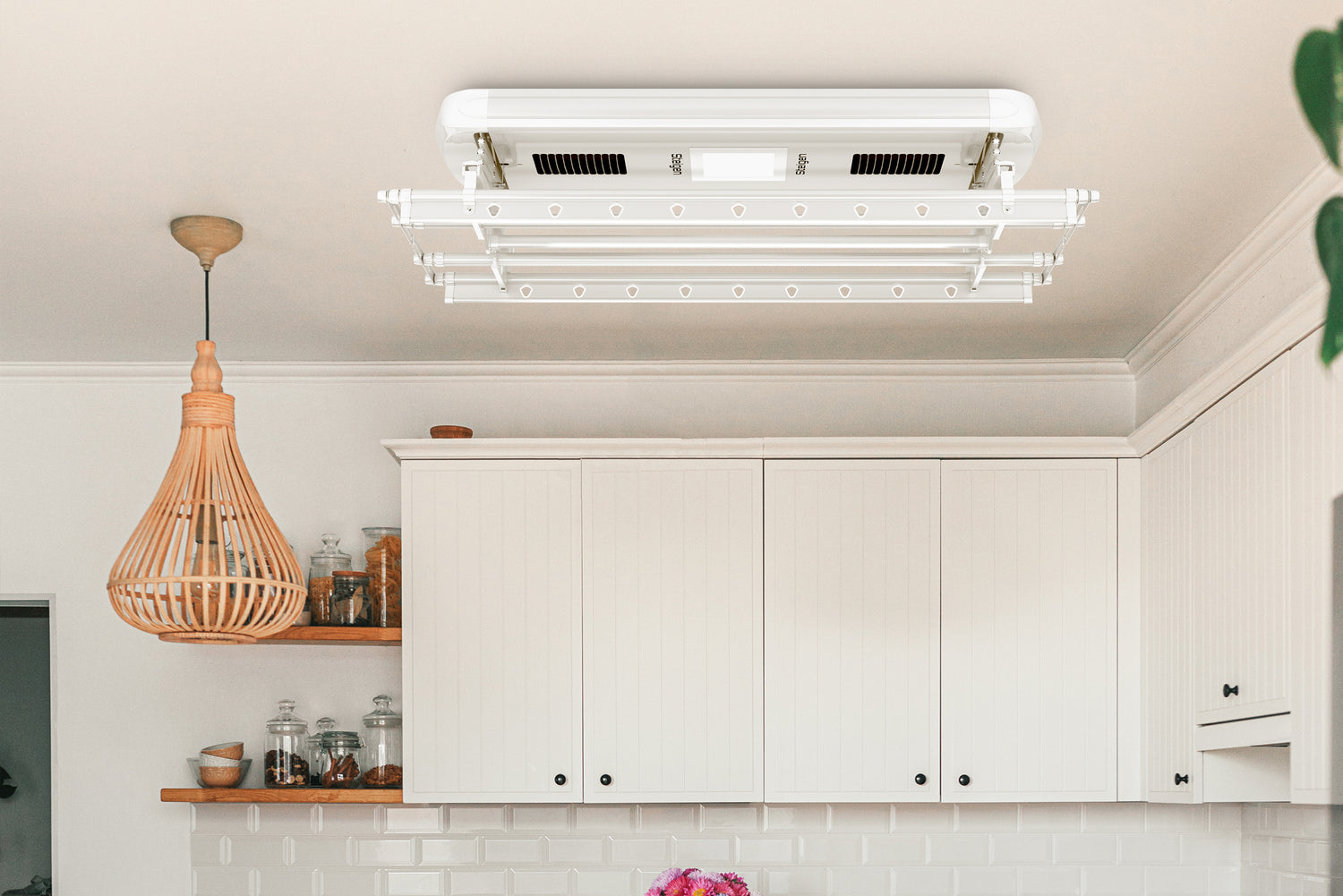 4 Surprising Things You Can Dry With Any Steigen