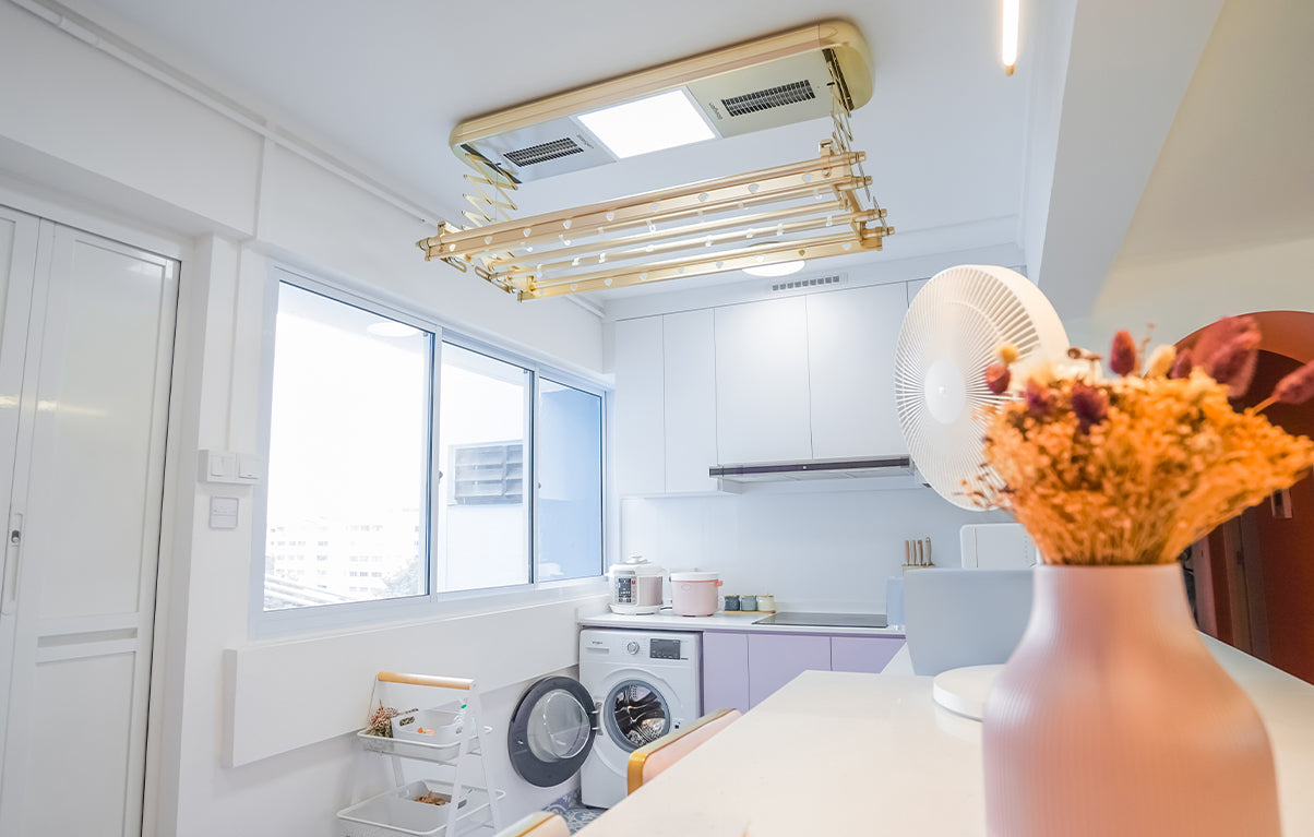Steigen solar gold home interior